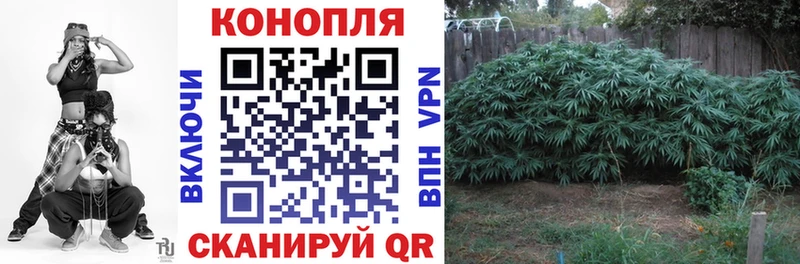 Купить  Александровск  Шишки марихуана семена 